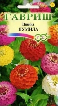 00008463_Цинния Пумила (Гавриш) 11000