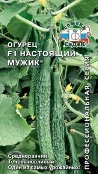 00018524_Огурец Настоящий Мужик (СеДек)