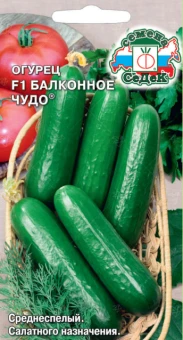 Снимок14
