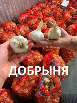 IMG_20260807_155210