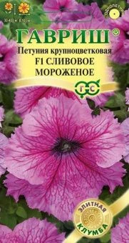 00001199_Петуния Мороженое сливовое (Гавриш) 1_100