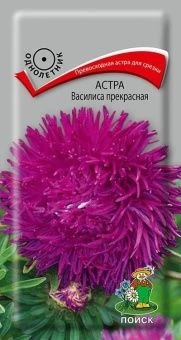 00021308_Астра Василиса прекрасная 0,3г (ПОИСК)