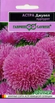 00011575_Астра Джувел Пурпурит (Гавриш) 11000