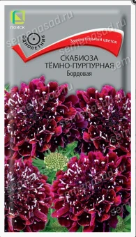 Снимок экрана 2026-10-02 111941