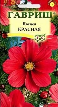 00007907_Космея Красная (Гавриш) 11000