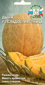 Снимок1
