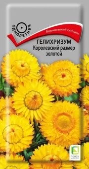 00041065_Гелихризум Королевский размер золотой 0,1