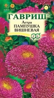 00010193_Астра Пампушка вишневая (Гавриш)
