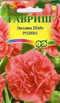 00007711_Гвоздика шабо Розина (Гавриш) 11000