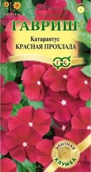 00004463_Катарантус Красная прохлада (Гавриш)