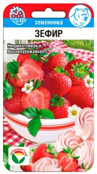 00015441_Земляника Зефир 10шт (Сиб. сад)