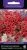 petunia_kaskadnaya_taidal_wave_red_velur petunia_kaskadnaya_taidal_wave_red_velur
