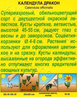 Календула Дракон (Аэлита)