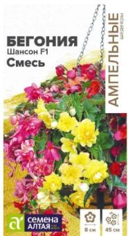 Снимок экрана 2026-07-31 093544