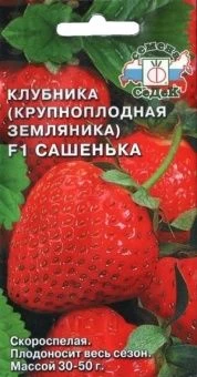 00013378_Клубника (земляника крупноплодная) Сашень