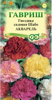 00008419_Гвоздика шабо Акварель смесь (Гавриш) 11000