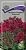 Гвоздика травянка Флэшинг Лайт 0,1г (ПОИСК)