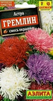00022718_Астра Гремлин смесь окрасок (Аэлита)