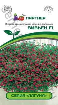 00031150_Петуния Вивьен F1 многоцветковая каскадна
