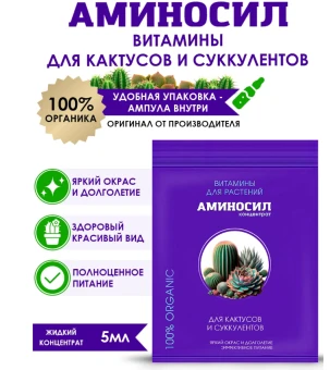 Снимок