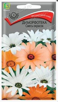 Снимок экрана 2026-10-02 105446