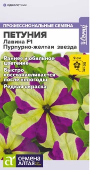 Снимок