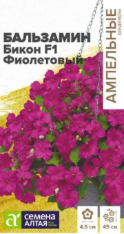 Снимок экрана 2026-07-31 092223
