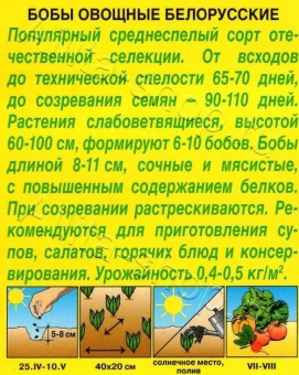 Бобы Белорусские (Аэлита)
