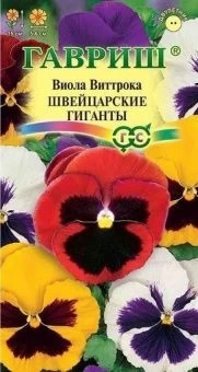 00009159_Виола Швейцарские Гиганты (Гавриш) 1800