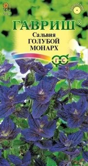 00010074_Сальвия Голубой монарх (Гавриш) 1_1000
