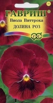 00007701_Виола Долина роз (Гавриш) 11000