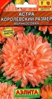 00022740_Астра Королевский размер абрикосовая (Аэл