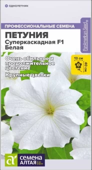 Снимок
