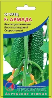 00035805_Огурец Армада (Агросемтомс)
