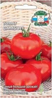 tomat_sambol