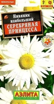 00040445_Нивяник Серебряная принцесса (Аэлита)