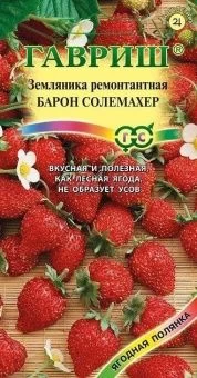 00011464_Земляника Барон Солемахер (Гавриш) 1_800