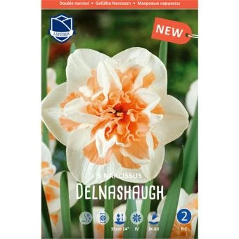 nartsiss-delnasho-w800-h800