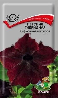 00036604 _Петуния Софистика Блекберри гибридная 5шт (ПОИСК)