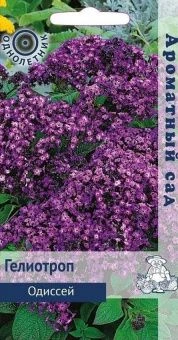00035837_Гелиотроп Одиссей серия Ароматный сад 0,0