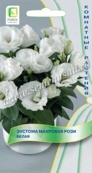 Эустома Рози Белая махровая 5 шт (ПОИСК) 