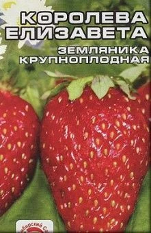 koroleva_elizaveta.jpg