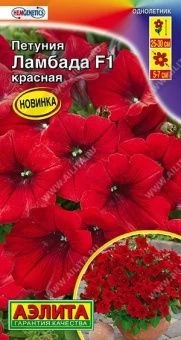 00040834_Петуния Ламбада F1 красная многоцветковая