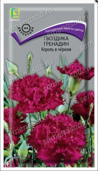 Снимок экрана 2026-10-02 104744