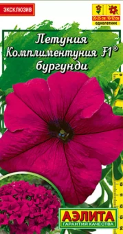 Комплиментуния бургунди крупноцветковая (Аэлита)