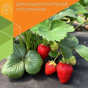 Укрывной материал Агротекс РУЛОН 60 мульча 3,2м (ГексаУрал) 1