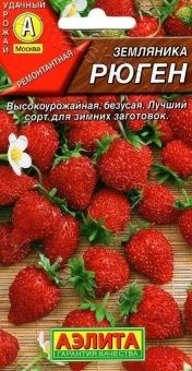 00003662_Земляника Рюген (Аэлита)