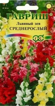00007931_Львиный зев среднерослый смесь (Гавриш) 1