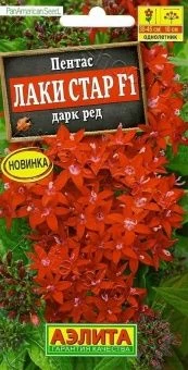 00035408_Пентас Лаки Стар дарк ред (Аэлита)