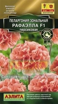 Пеларгония Рафаэлла персиковая (Аэлита)